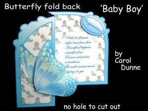 Butterfly Fold Back baby Boy