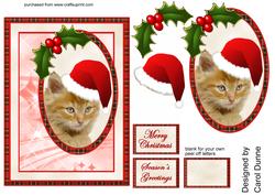 Christmas Kitty