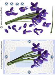 Iris Decoupage on Lace