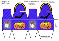 Pumpkin Box