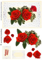 Red Roses, Gypsophilia and Lace