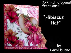 Diagonal Fold - Hibiscus Hat