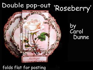 Double Pop-out 'roseberry'