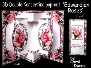 3D Concertina Pop-out - Edwardian Roses