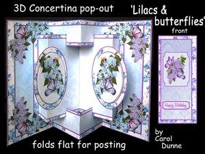 3D Concertina Pop-out - Lilacs & Butterflies