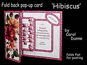Fbp Hibiscus