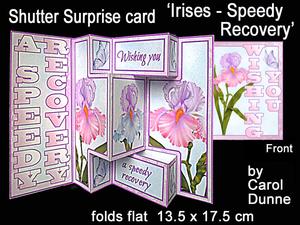 Shutter Surprise Card - Irises - Speedy Recovery