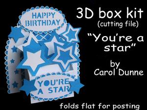 3D Box - Youre A Star