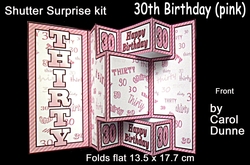 Shutter Surprise Kit 30th Birthday (pink)
