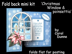 FB Christmas Window with pink poinsettia