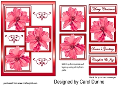 Three squares Red poinsettias