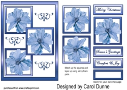 Three squares Blue poinsettias