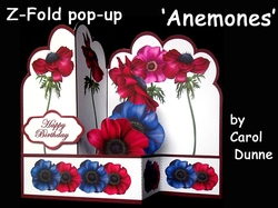 Z-Fold Anemones