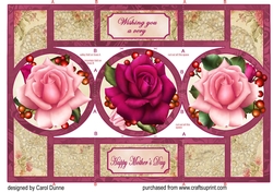Pink Roses circle shutter card (Mothers Day)