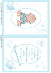 New Baby Insert