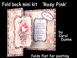 FB Rosy Pink