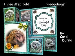 TSF Hedgehogs