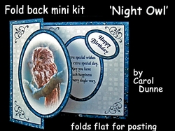 FB Night owl