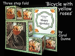 TSF Bicycle with yellow roses