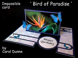 IMP Bird of Paradise