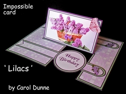 IMP Lilacs