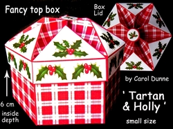 FTBS Tartan & holly