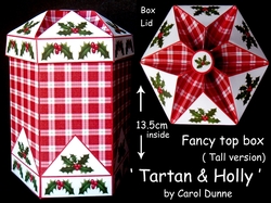 FTBT Tartan & holly