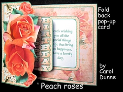 FBP Peach roses
