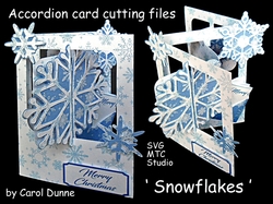 AC Snowflakes