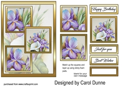 3 squares Irises & lily