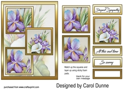 3 squares Irises & lily Sympathy