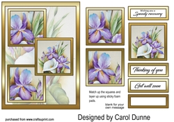 3 squares Irises & lily GWS