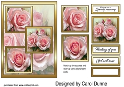 3 squares Pink Roses GWS