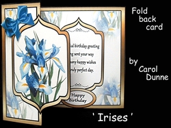 FBG Irises