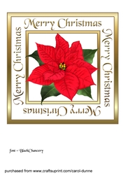 Red Poinsettia square