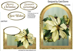 White poinsettia cutaway
