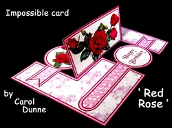 IMP Red rose