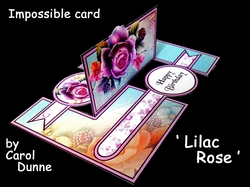 IMP Lilac rose