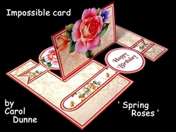 IMP Spring rose