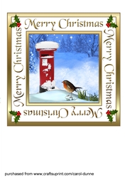 Robin & Postbox 7 inch