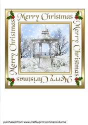 Winter Bandstand 7 inch