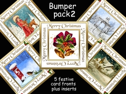 Christmas bumper pk2