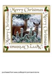 Two deer