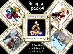 Christmas bumper pk4