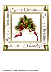 Pine cones and holly