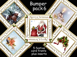 Christmas bumper pk6