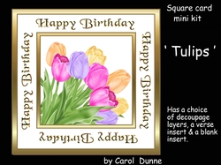 SC Tulips