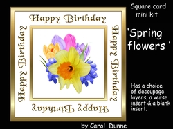 SC Spring flowers