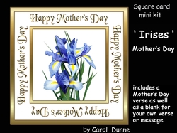 SC Irises (Mothers Day)