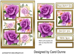 Three squares Purple roses MD